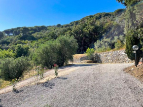 Monolocale Vittorio